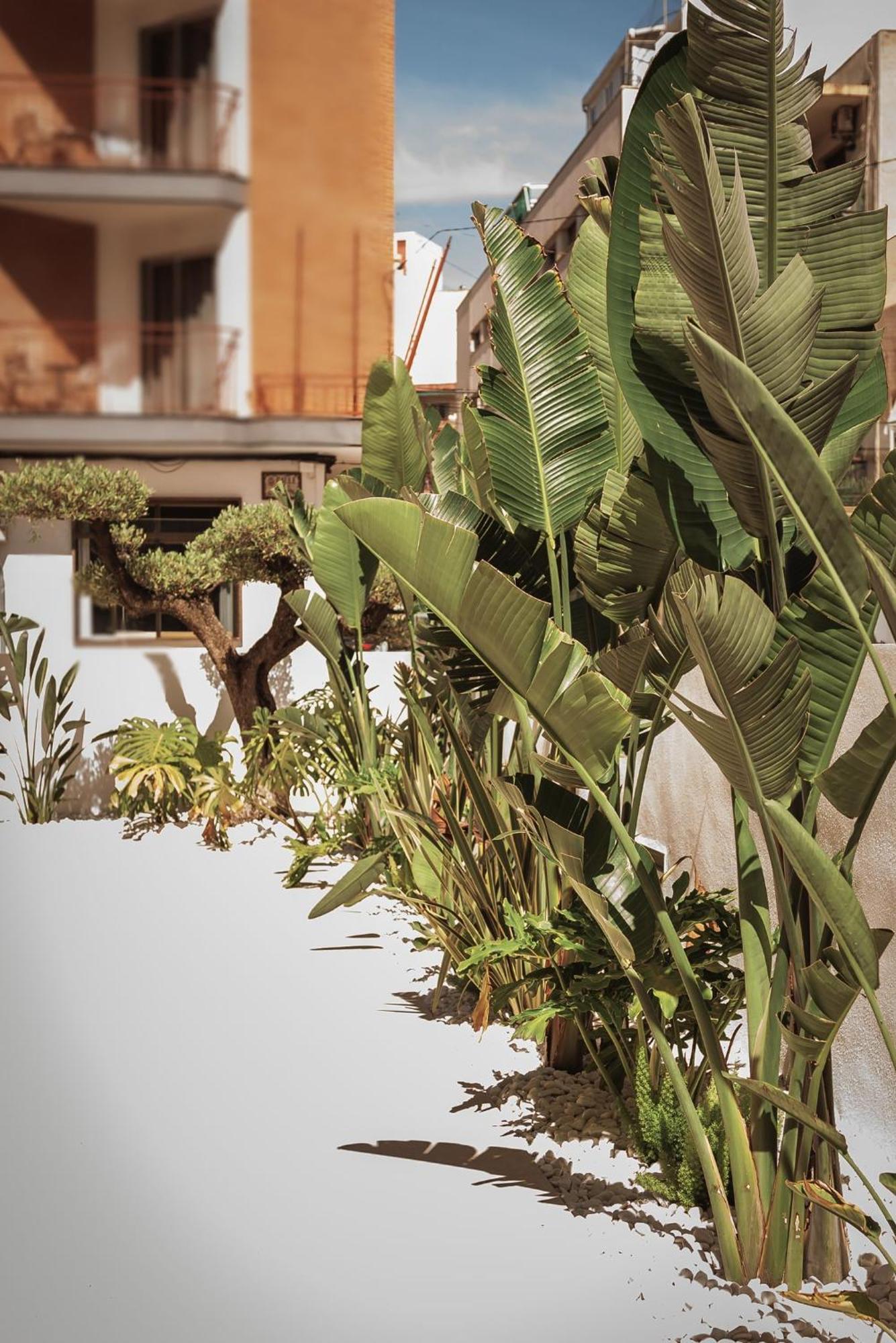 Hotel Camposol Μπένιντορμ Εξωτερικό φωτογραφία